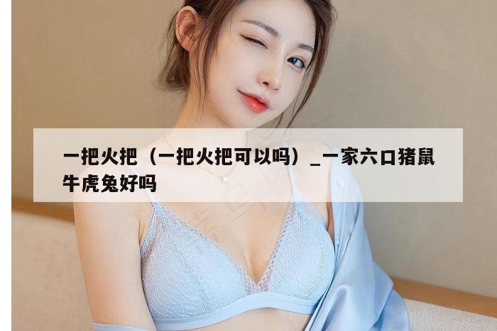 一把火把(一把火把可以吗)_一家六口猪鼠牛虎兔好吗